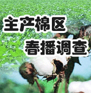 ޻кڲx