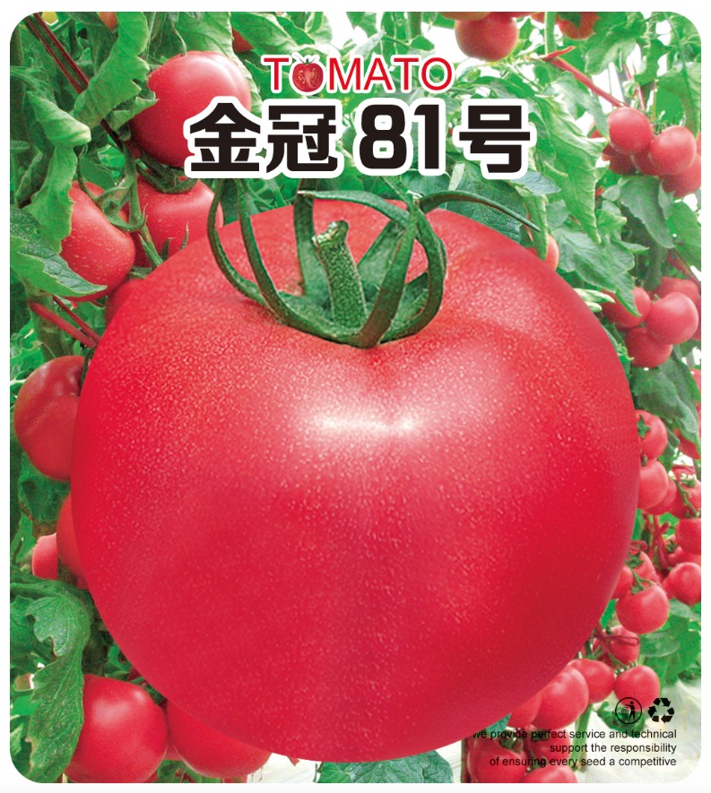 81̖۹